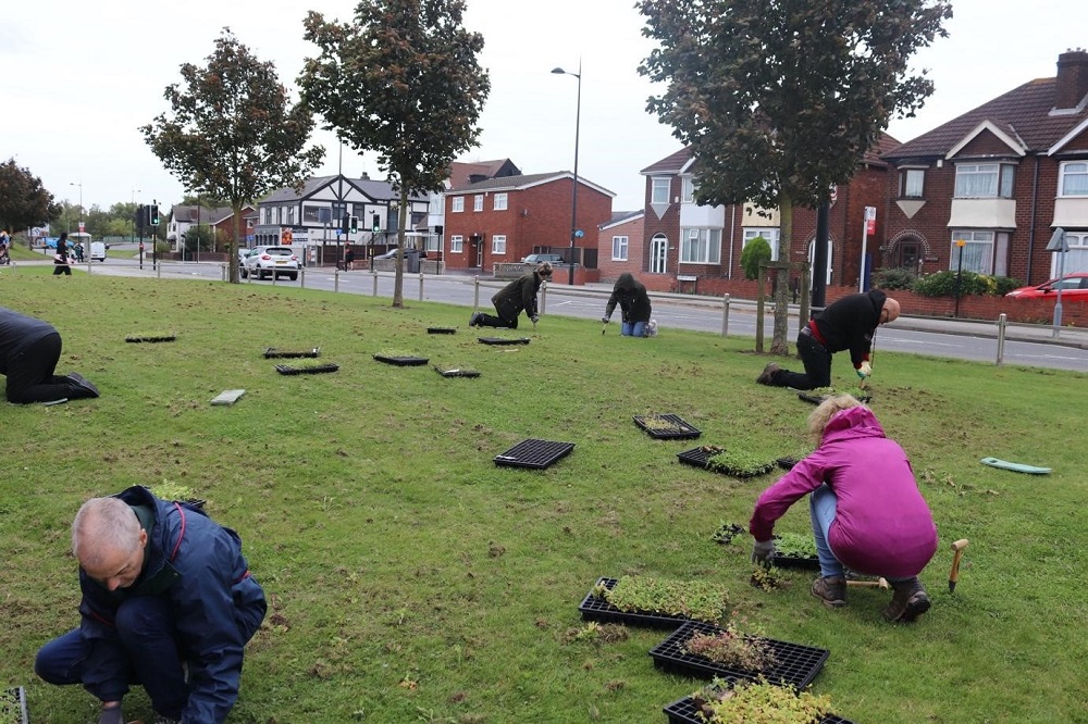 People planting the meadow
