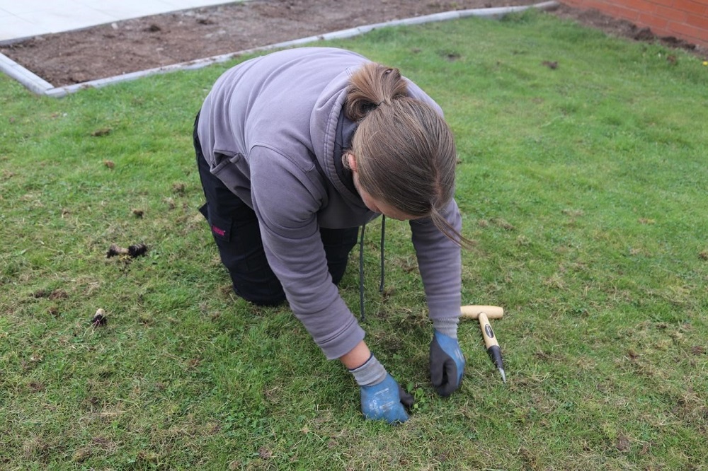 A female planting a bulb in the meadow